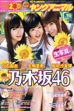 泰迪熊2